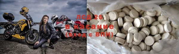 ГАЛЛЮЦИНОГЕННЫЕ ГРИБЫ Каменка