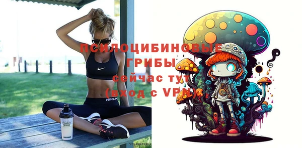 стафф Инсар