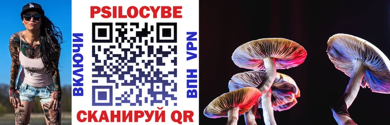 Псилоцибиновые грибы прущие грибы Кущёвская