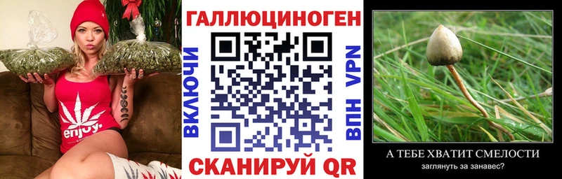 Псилоцибиновые грибы GOLDEN TEACHER  Купить  Кущёвская 