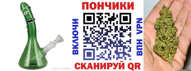 Купить  Кущёвская  Конопля план 